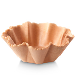 TULIPA FLOR (DIS160) 1/72un